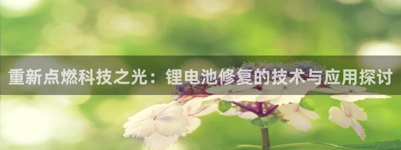 钱包okpay
