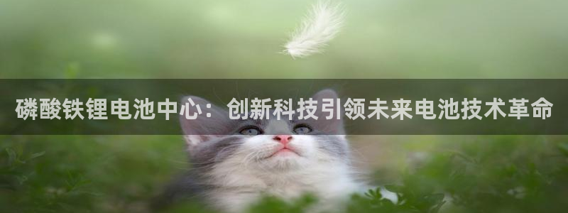 怎样下载okpay钱包
