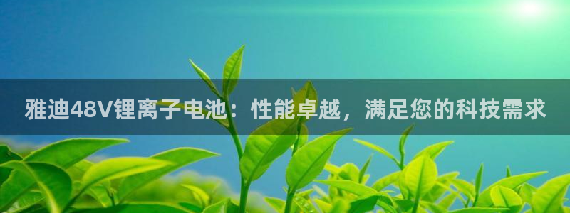 okpay钱包官网入口
