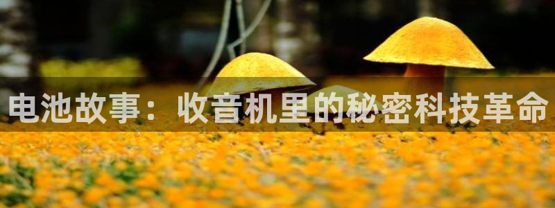 okpay钱包官网版v6.0.21