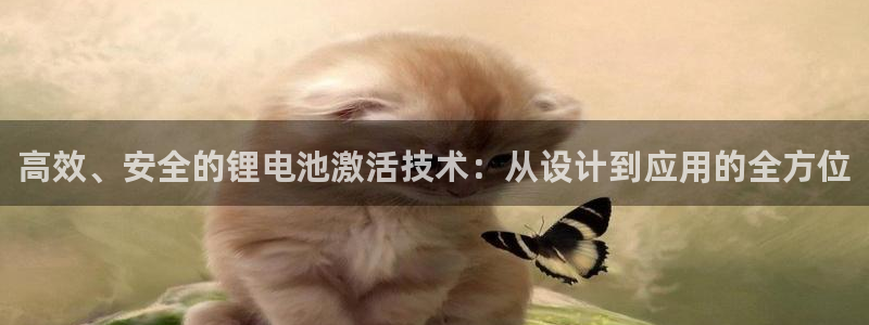 okpay数字钱包