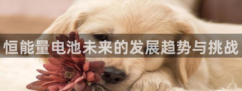 okpay钱包怎么下载不了