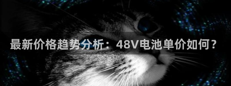 okpay下载钱包