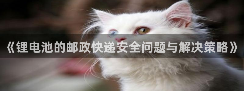 okpay虚拟币钱包下载