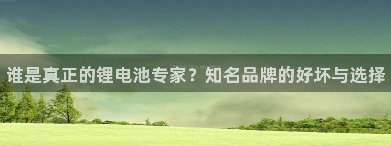 okpay钱包正规吗