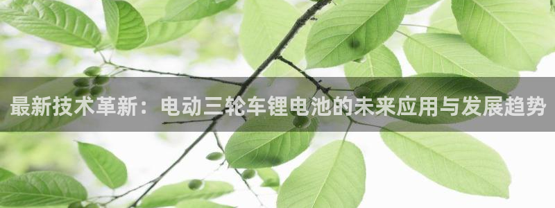 okpay钱包官网下载
