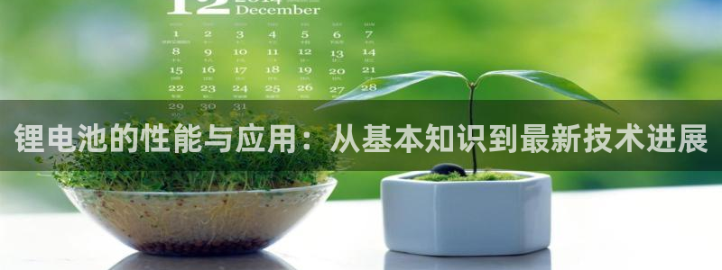 okpay钱包怎么下载