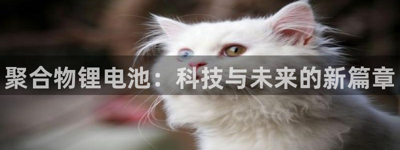okpay钱包苹果