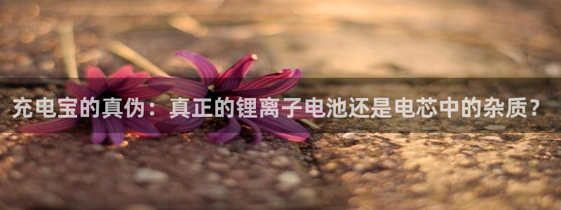 okpay钱包正规吗：充电宝的真伪：真正