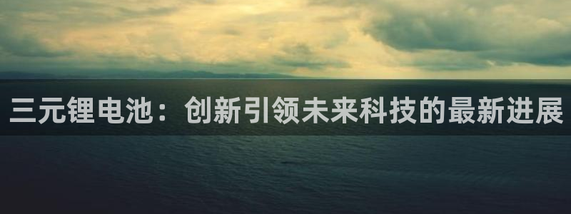 okpay数字货币钱包：三元锂电池：创新