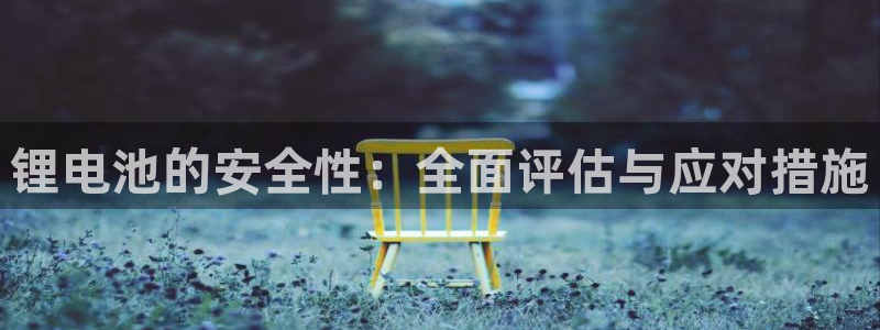 okpay钱包官网版v6.0.21：锂电